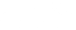 Nefexa Global